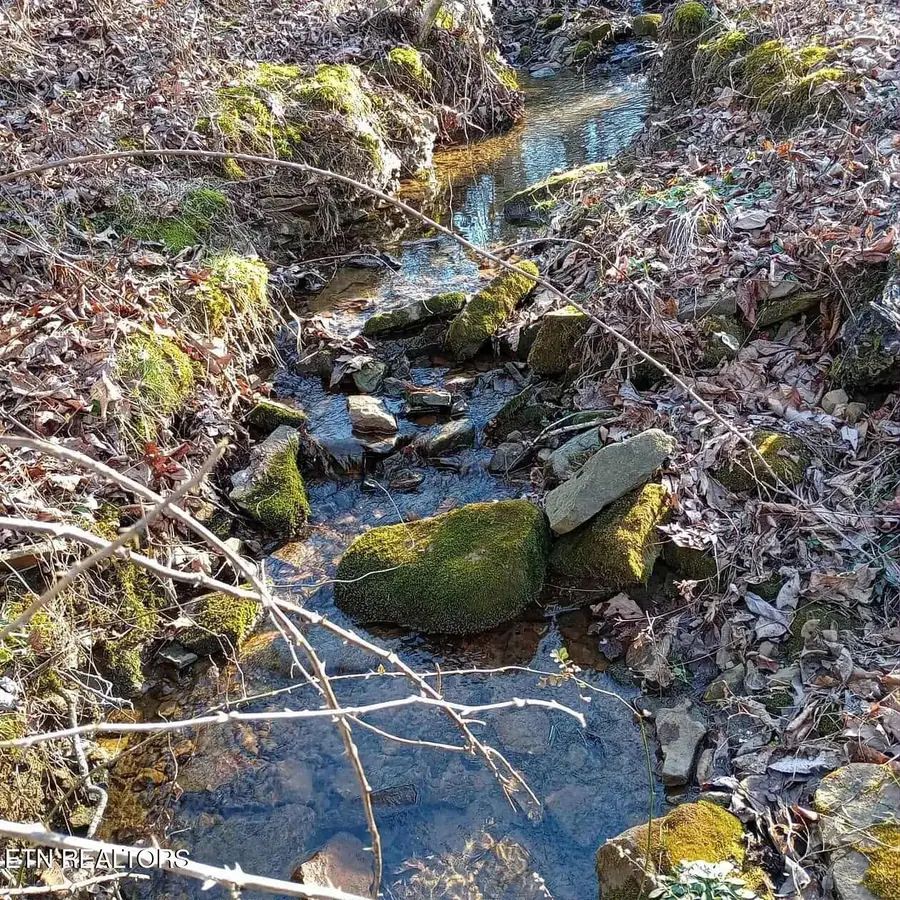 11.3 acres Summer City Rd, Pikeville, TN 37367 - #3