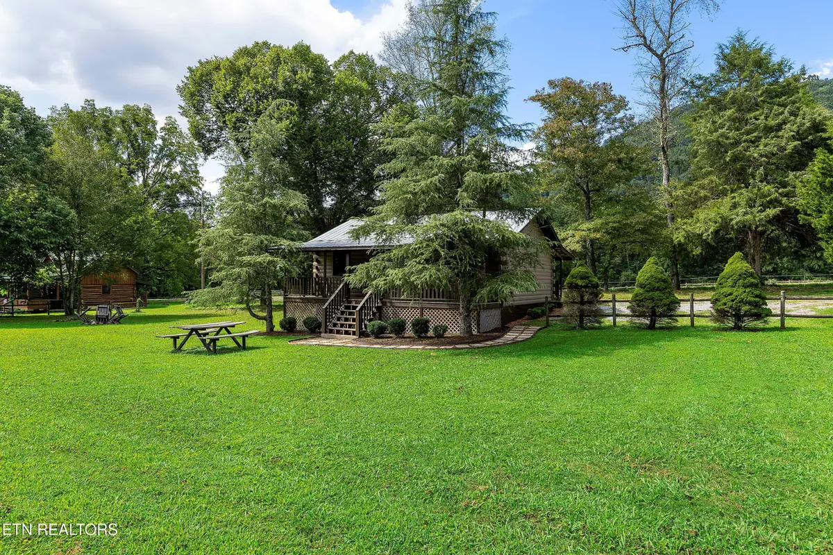 339 Stables Drive, Townsend, TN 37882 - #1