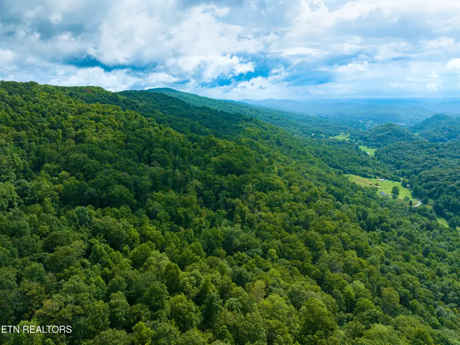 956 Sherm Mountain Rd, Sneedville, TN 37869 - #2