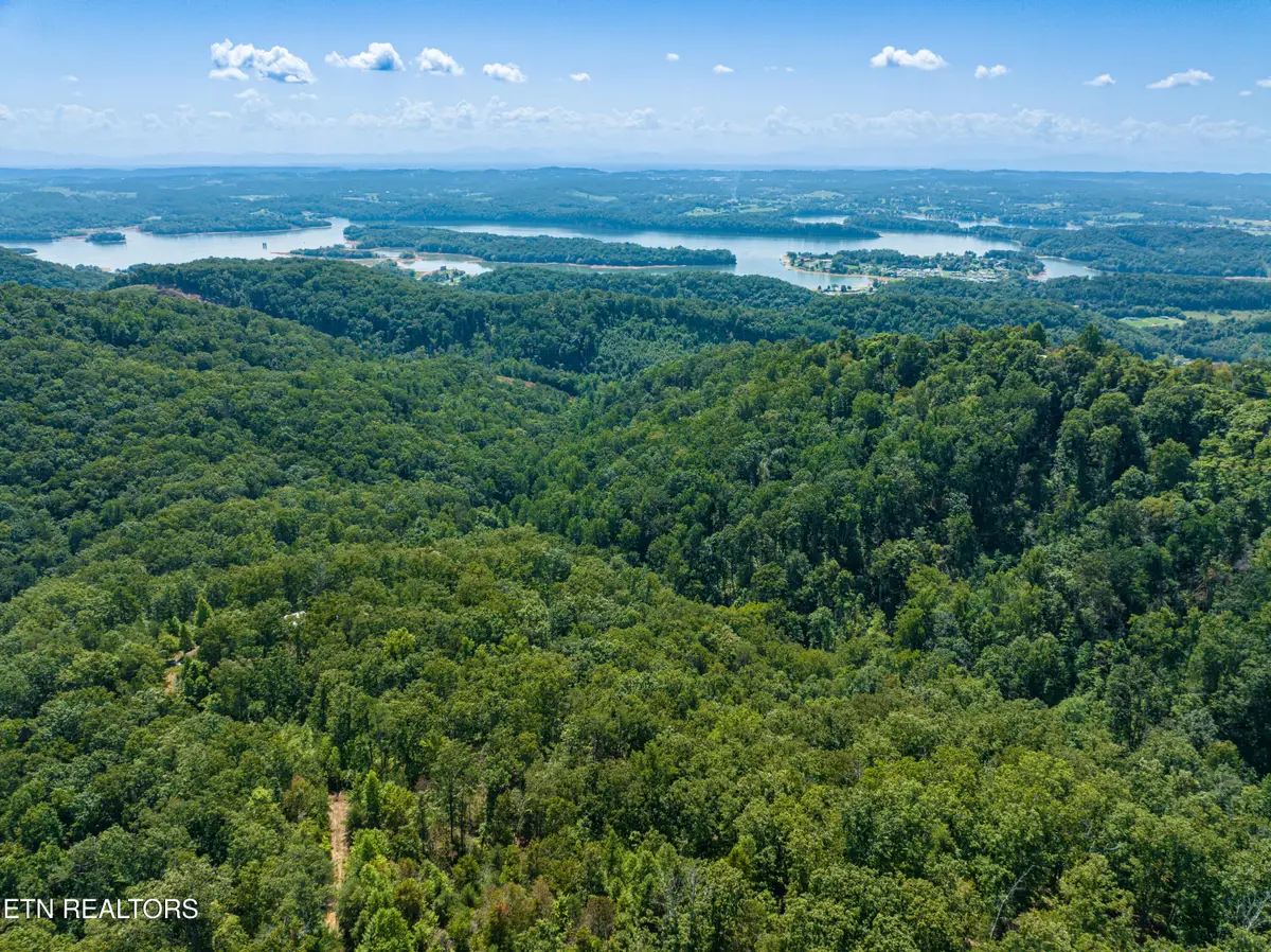 134 Beheler Lane, Mooresburg, TN 37811 - #1