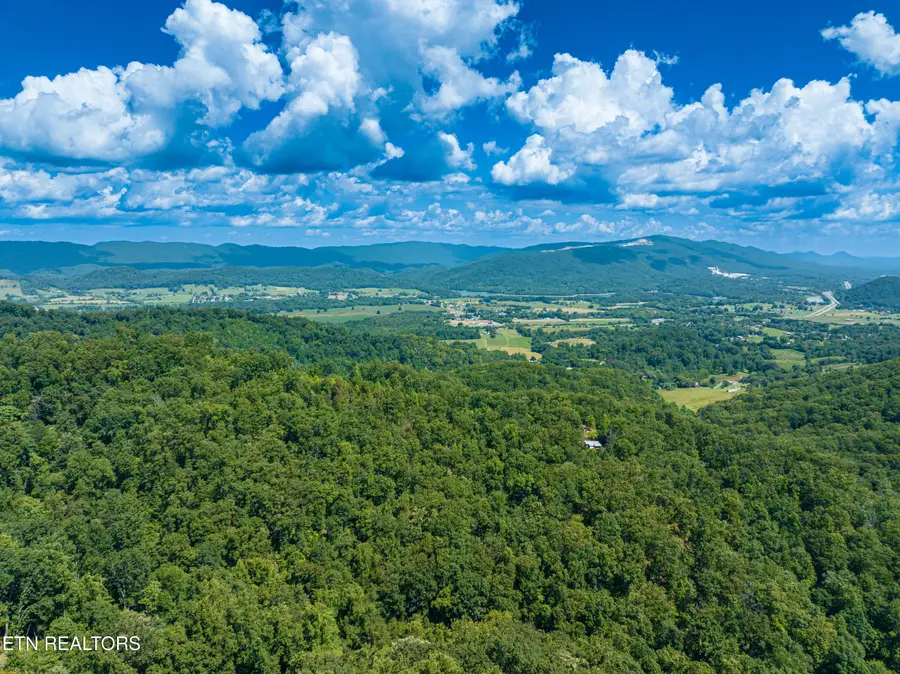 134 Beheler Lane, Mooresburg, TN 37811 - #2