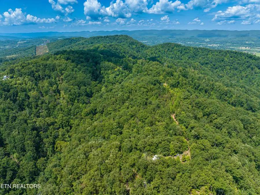 134 Beheler Lane, Mooresburg, TN 37811 - #3