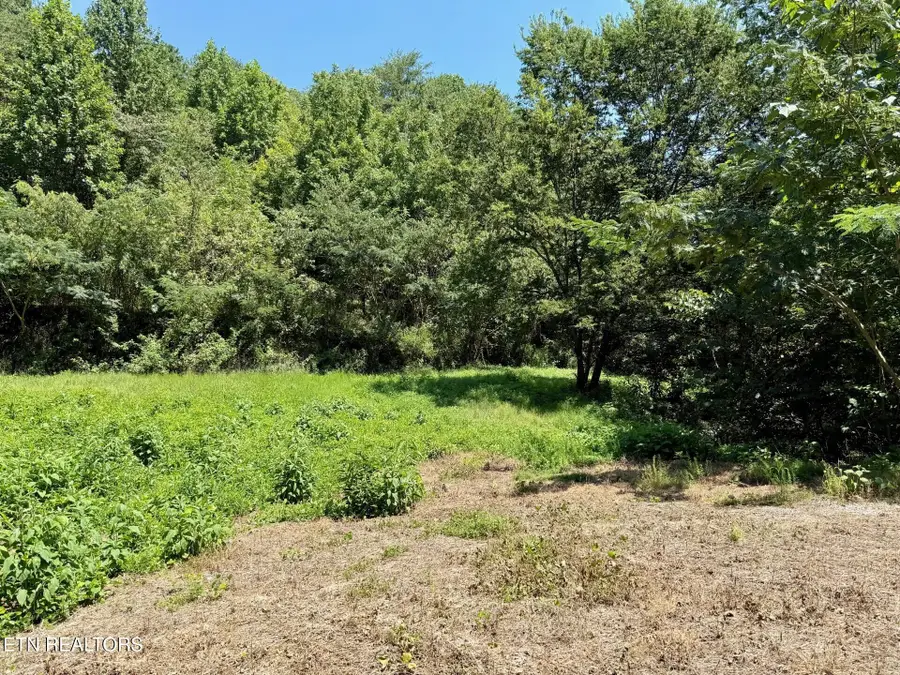 Lot 0000 Ogle Drive, Pigeon Forge, TN 37863 - #3