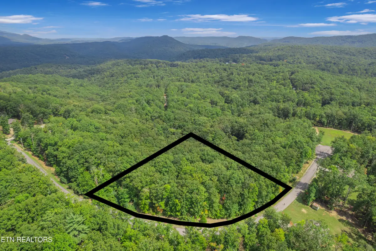 313 Country Wood Place, Harriman, TN 37748 - #1