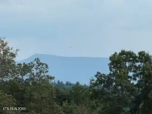 705 County Road 446, Athens, TN 37303 - #2