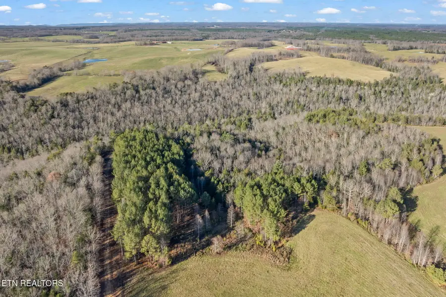 150 AC Prong Of Clear, Jamestown, TN 38556 - #3