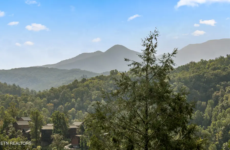820 Resort Way, Gatlinburg, TN 37738 - #3