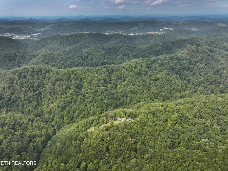 388 Damewood Hollow Rd, Luttrell, TN 37779 - #3