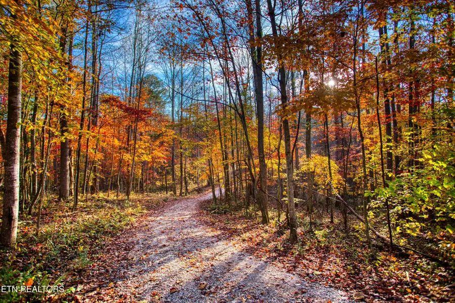 1192 Shellotte Loop, Pall Mall, TN 38577 - #2