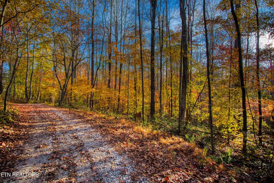 1192 Shellotte Loop, Pall Mall, TN 38577 - #3