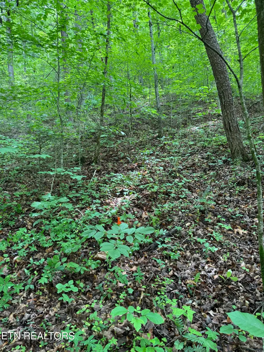 Lot 5 Mel Hall Rd, Maryville, TN 37803 - #3