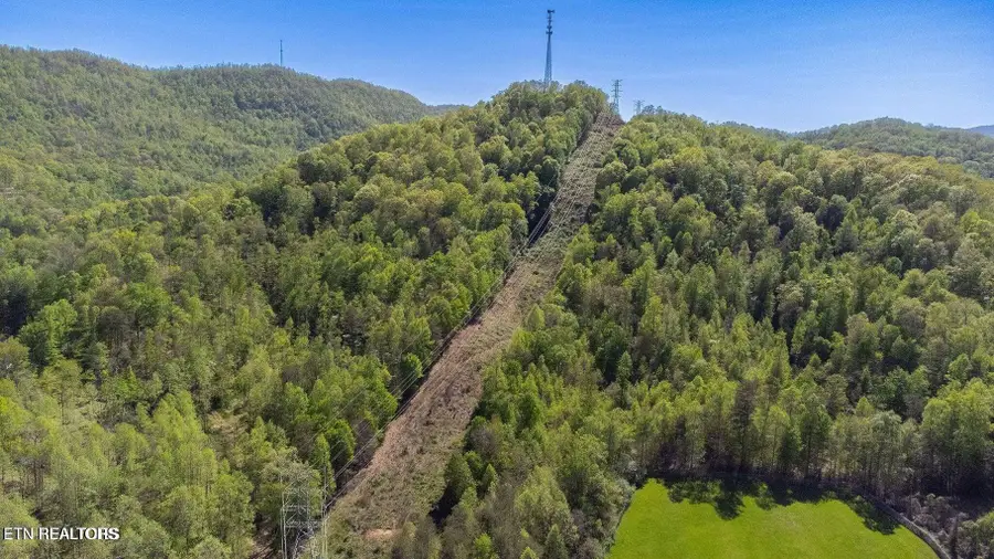 Morton Lane, Jellico, TN 37762 - #3