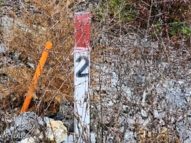 16.22ac Glenobey Rd, Jamestown, TN 38556 - #2