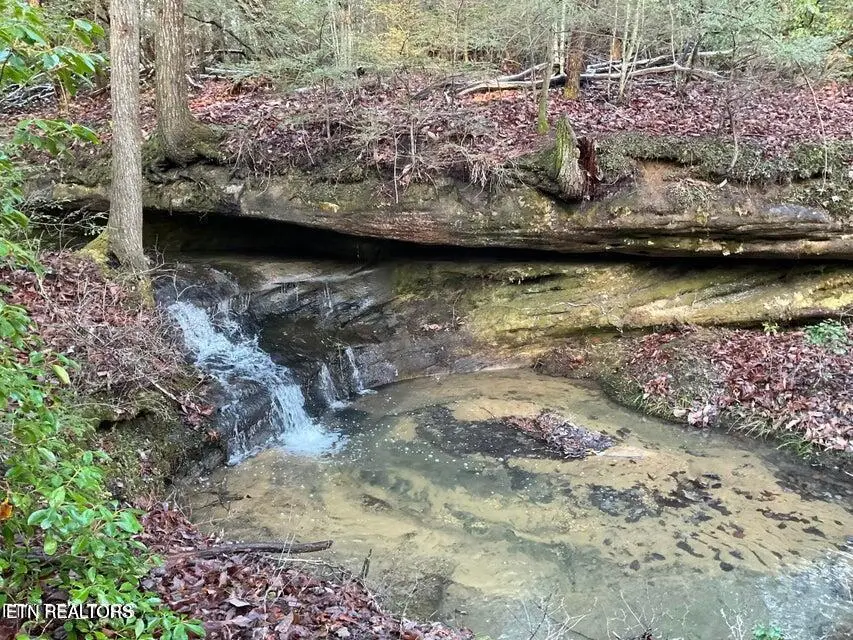 435 Cumberland Cove Road Rd #9, Monterey, TN 38574 - #2