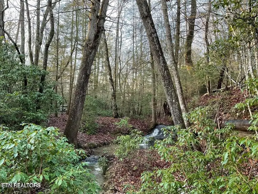 435 Cumberland Cove Road Rd #9, Monterey, TN 38574 - #3