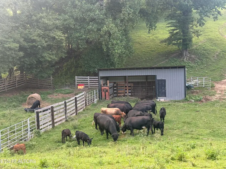 000 Boones Path Rd, Rose Hill, VA 24281 - #3