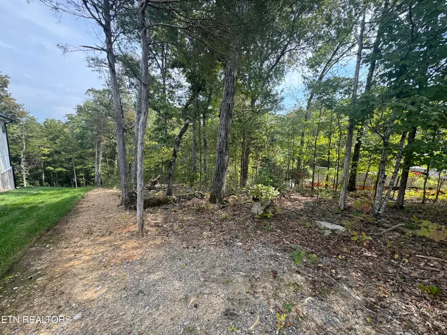 103 Odali Lane, Loudon, TN 37774 - #3