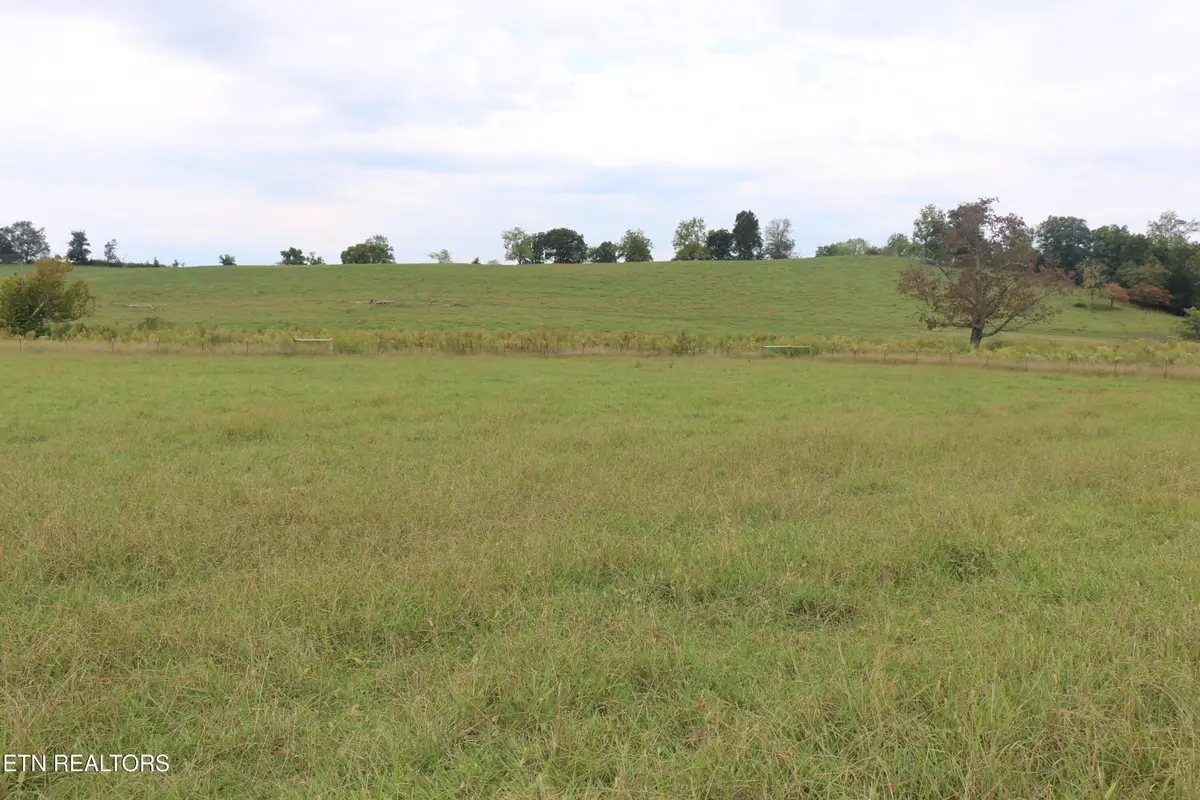 1163 County Road 461, Englewood, TN 37329 - #1