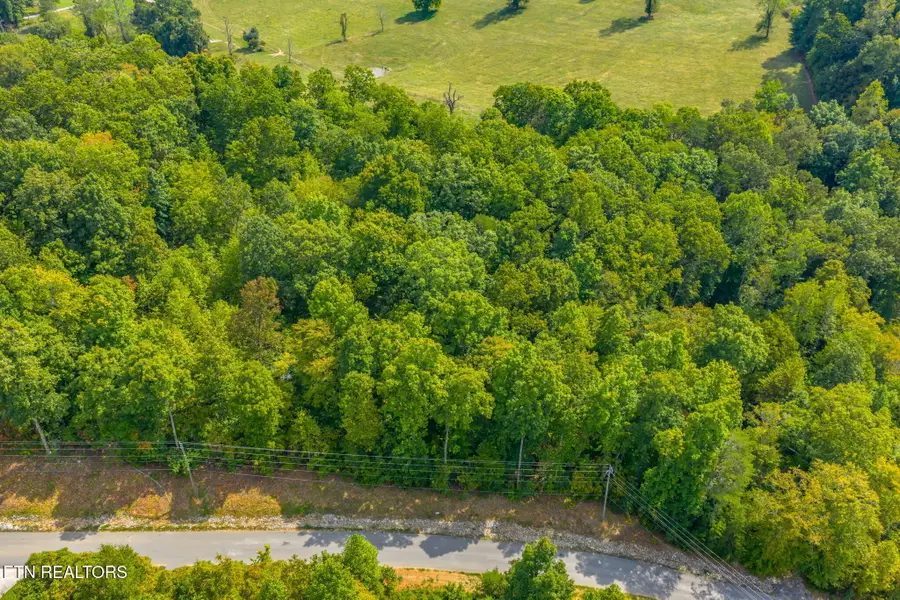 Lot 148 Hickory Pointe Lane, Maynardville, TN 37807 - #3