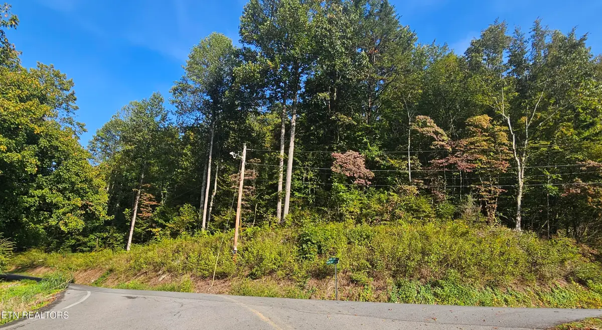 4.38 ac N Shiloh Rd, Seymour, TN 37865 - #1
