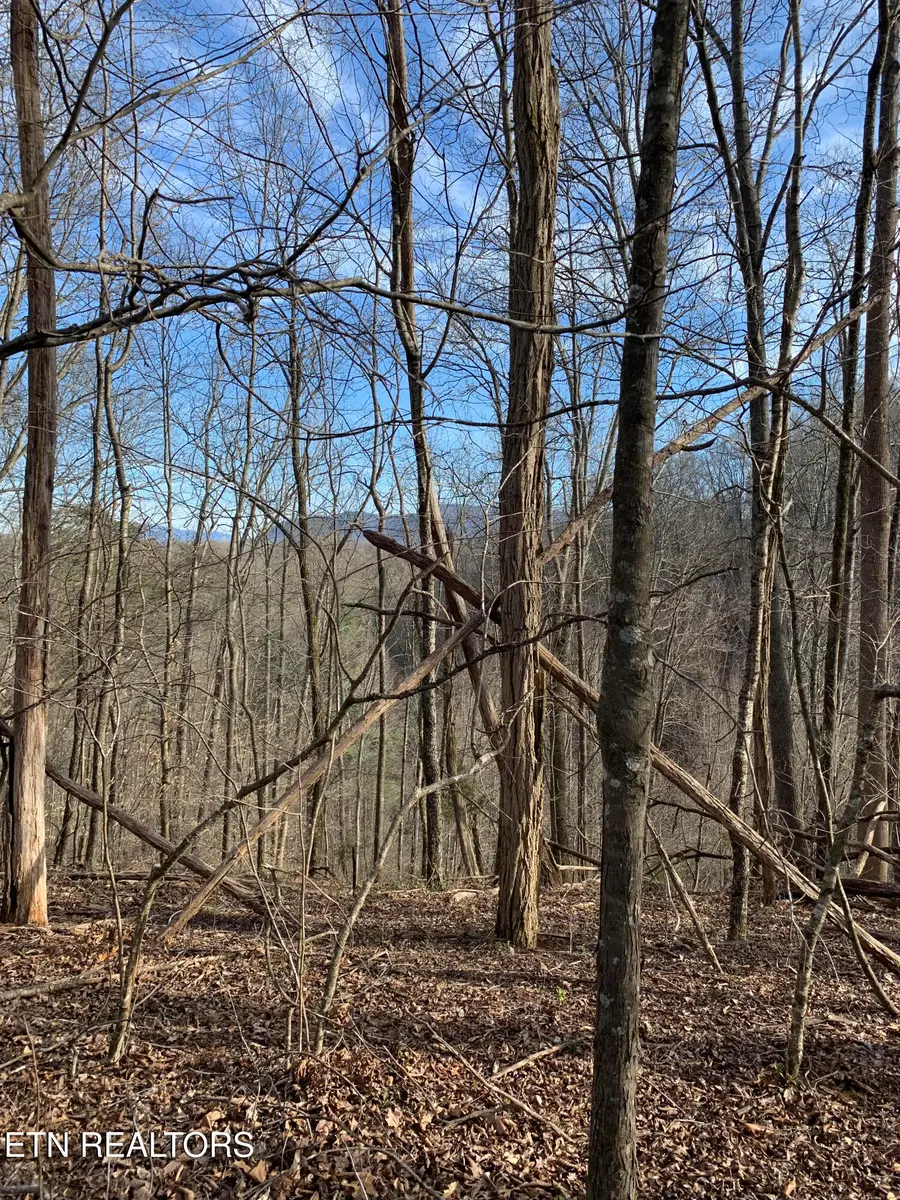 4.38 ac N Shiloh Rd, Seymour, TN 37865 - #3