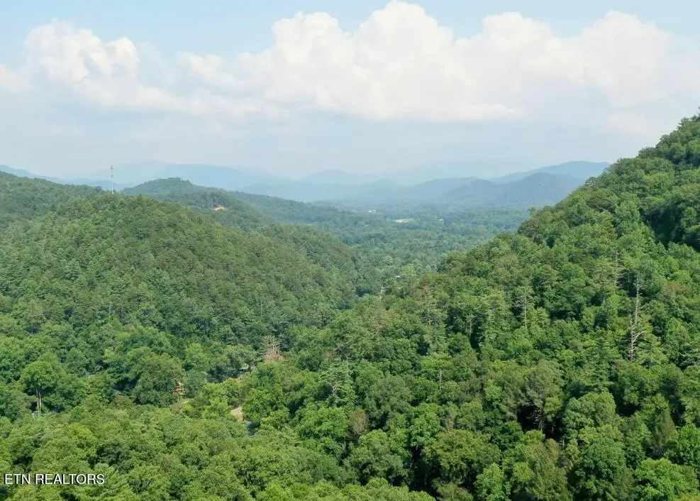 165 Anatole Pass, Townsend, TN 37882 - #1