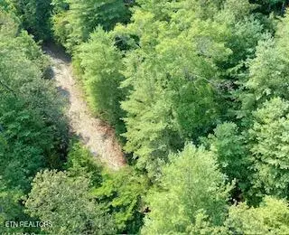 165 Anatole Pass, Townsend, TN 37882 - #2