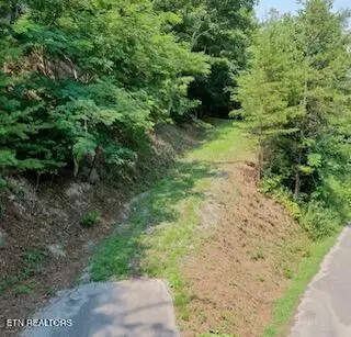 165 Anatole Pass, Townsend, TN 37882 - #3