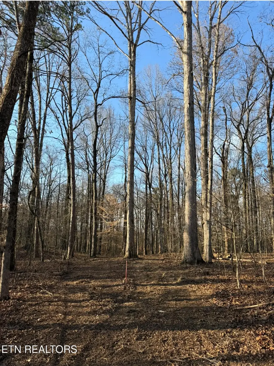 4339 Sevierville Rd #Lot 3, Maryville, TN 37804 - #2
