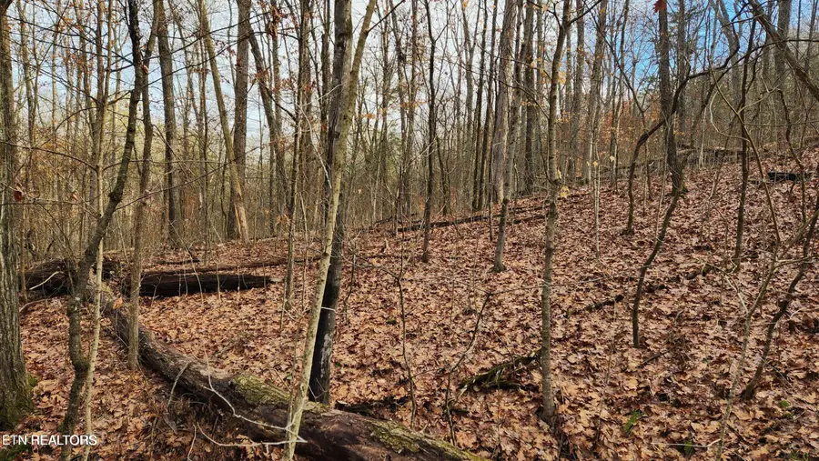 3 lots in Cul-de-sac Of Sweeping Rain Lane, Knoxville, TN 37931 - #2