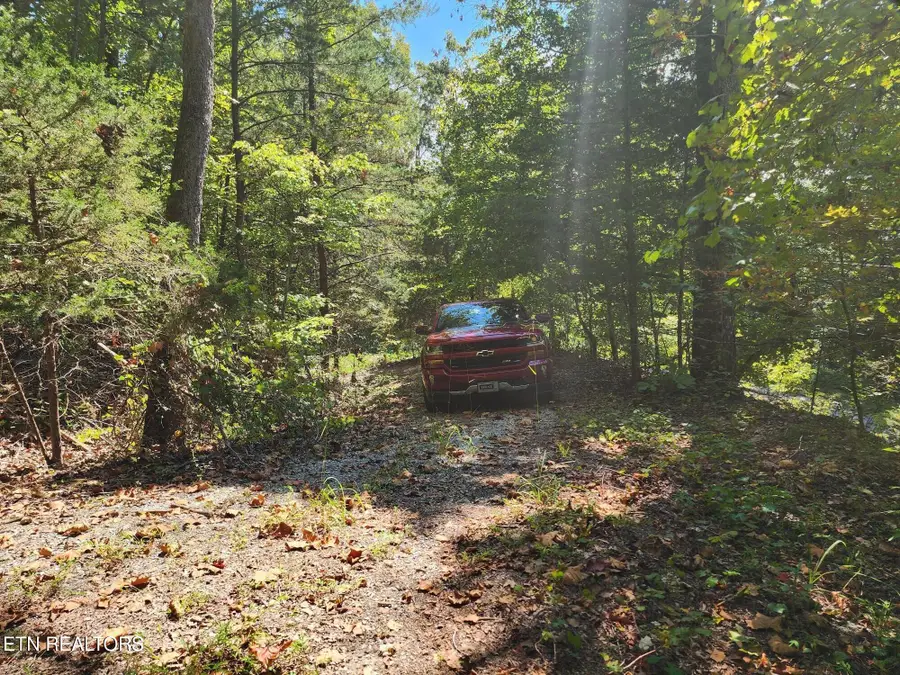 Timber Ridge Rd, Sharps Chapel, TN 37866 - #2