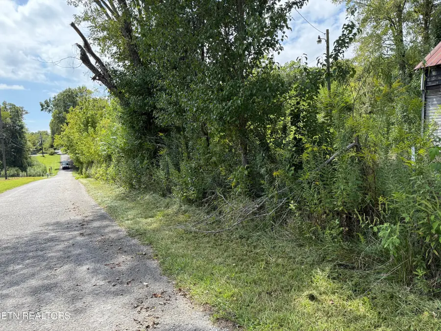 1235 Tatesville Rd, Palmer, TN 37365 - #2