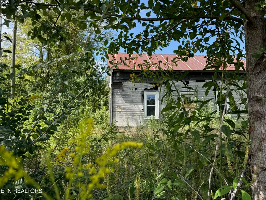 1235 Tatesville Rd, Palmer, TN 37365 - #3