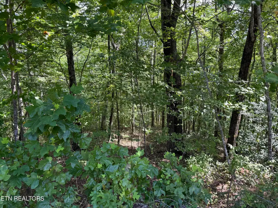 538 Pine Hill Cemetery Rd, Whitwell, TN 37397 - #3