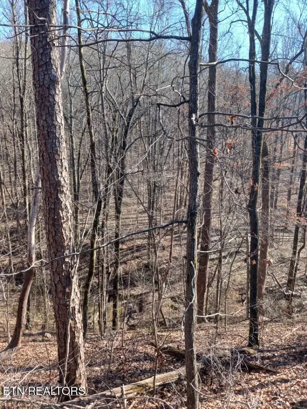 311 Roberts Mill Rd, Hixson, TN 37343