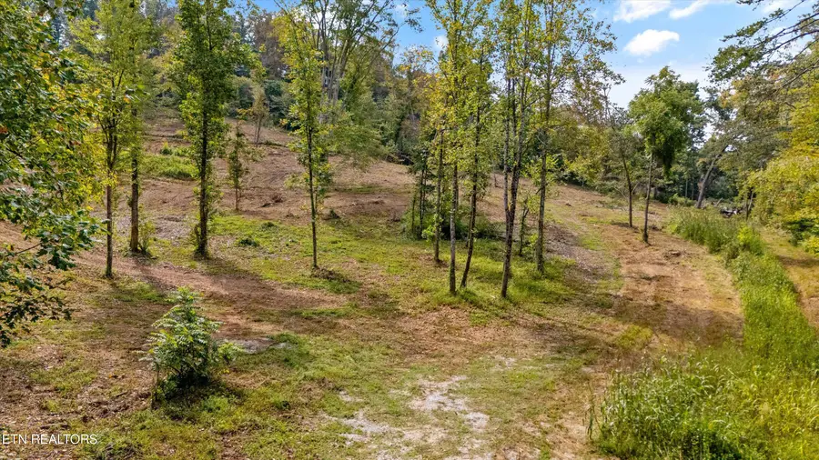 315 Tobby Hollow Lane, Knoxville, TN 37931 - #2