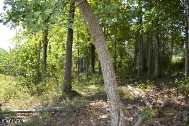 17.13ac Taylor Place Rd, Jamestown, TN 38556 - #1