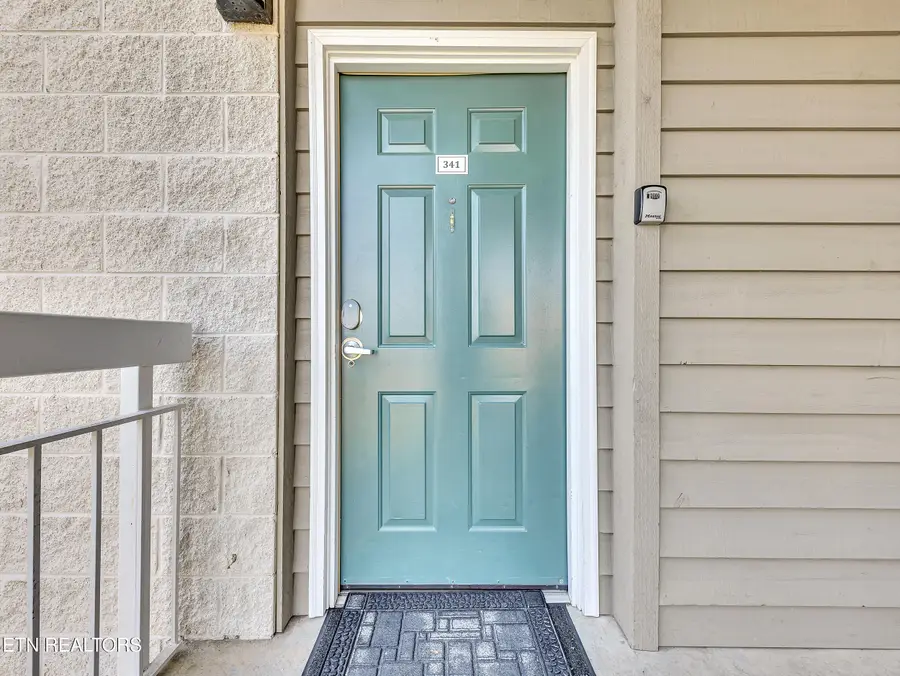 205 Ogle Drive #341, Pigeon Forge, TN 37863 - #3
