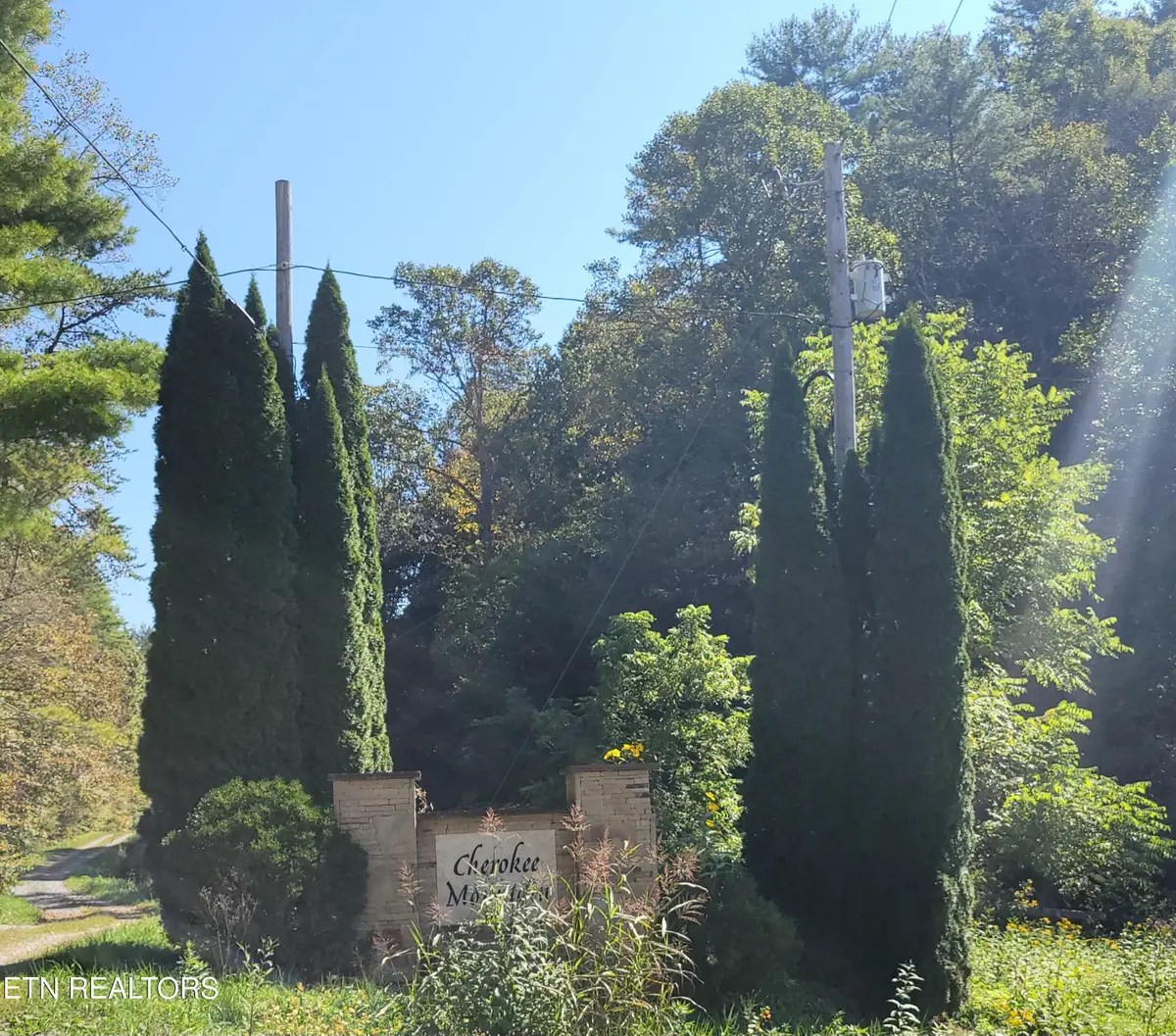 Lot 39 Sugar Maple Way, Del Rio, TN 37727 - #1