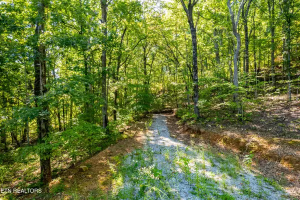 105 Warriors Passage Drive, Tellico Plains, TN 37385