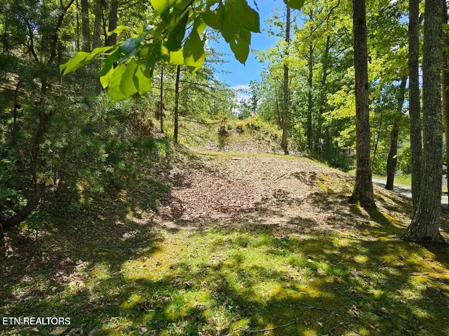 Lot 7-AR Village Circle, Sevierville, TN 37862 - #2