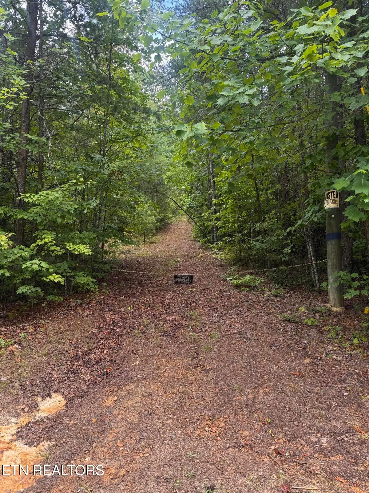 8 Bear Rd, Tallassee, TN 37878 - #1