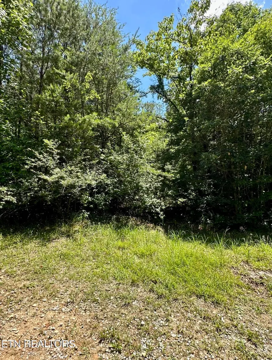 8 Bear Rd, Tallassee, TN 37878 - #2