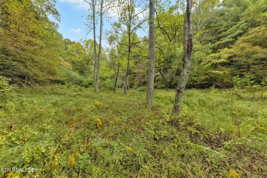 399 Cooper Rd, Vonore, TN 37885 - #3