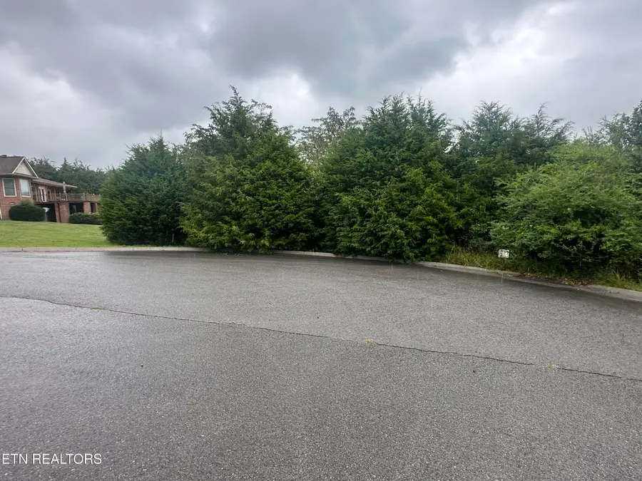 TBD Caddy Court, Tazewell, TN 37879 - #2