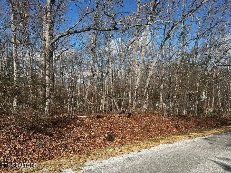 290 Kings Down Drive, Crossville, TN 38558 - #2