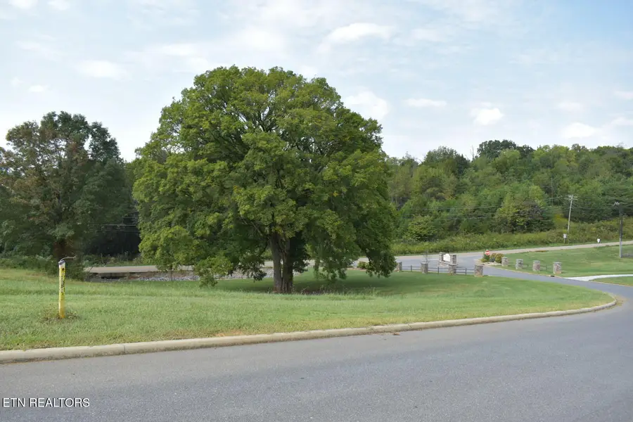 Fairway Drive, Dandridge, TN 37725 - #2