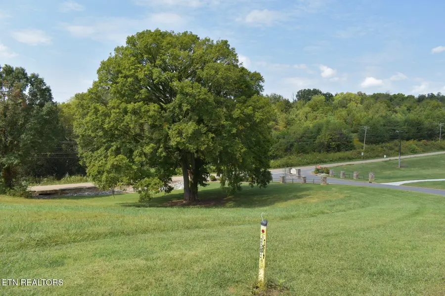 Fairway Drive, Dandridge, TN 37725 - #3