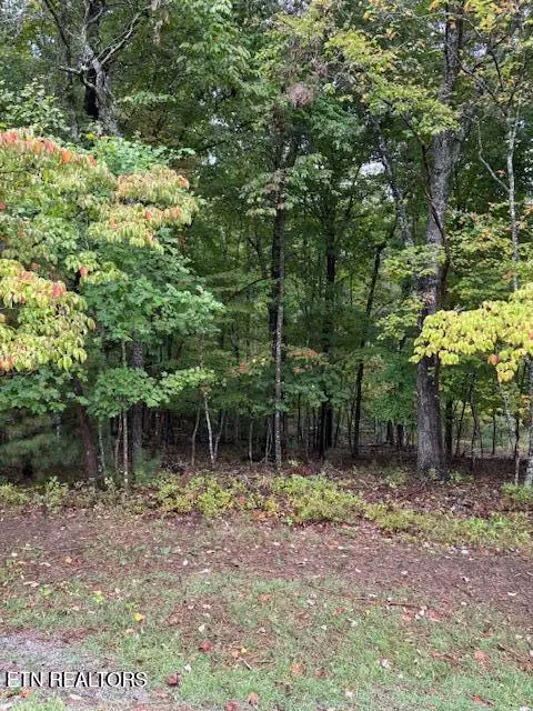 27 Chatham Court, Fairfield Glade, TN 38558 - #1