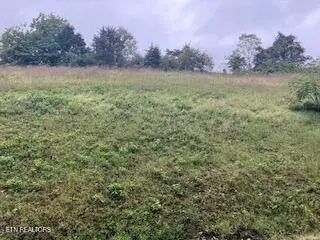 553 Garnet Tr, New Tazewell, TN 37825 - #1